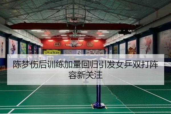 陈梦伤后训练加量回归引发女乒双打阵容新关注